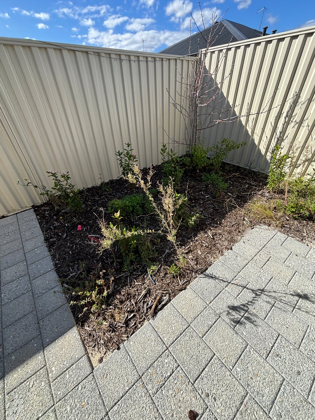 Hilbert SDA House — Home image 17