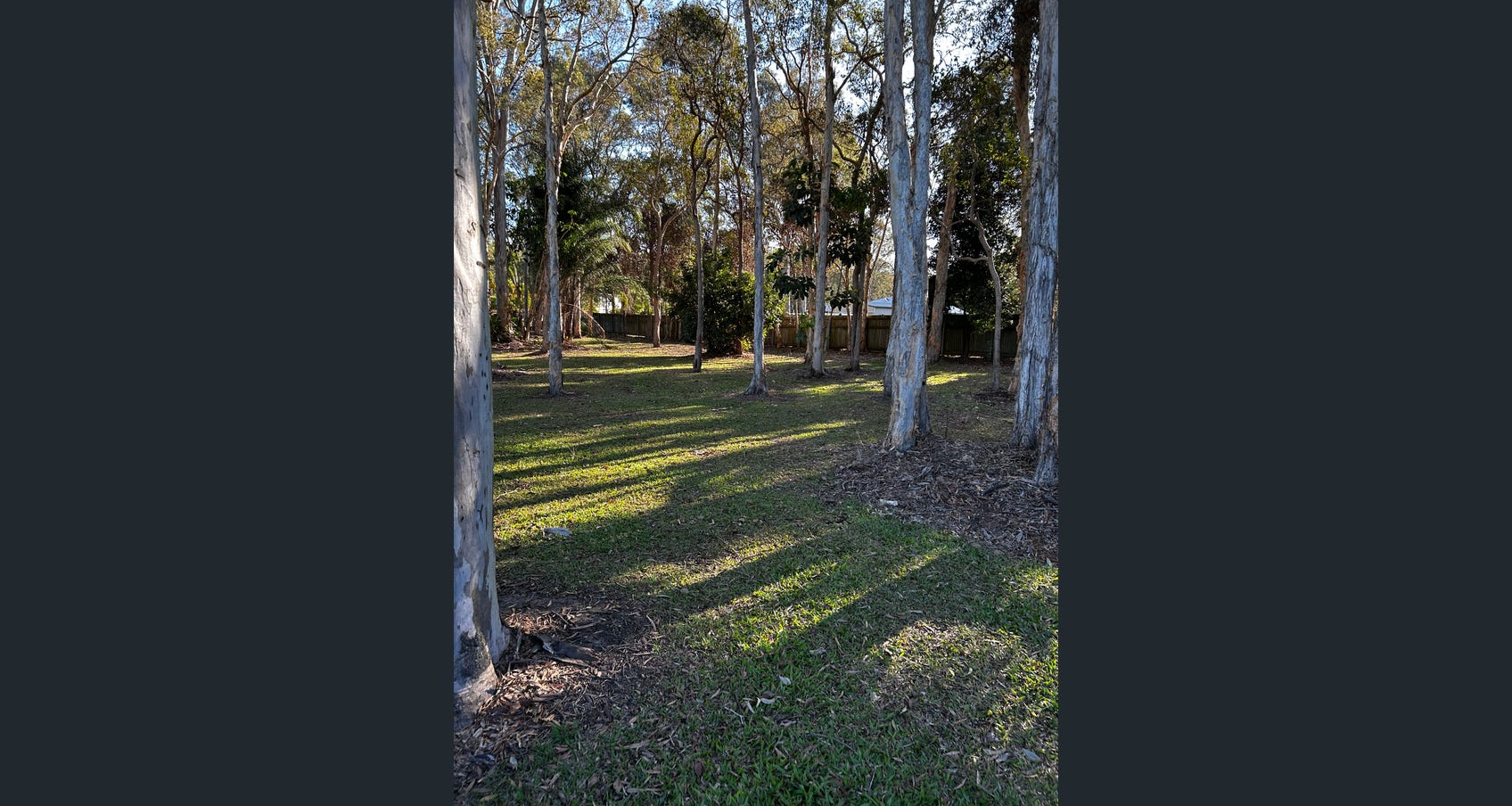 Spacious SDA Home with Expansive Backyard – Burpengary East — Home image 11