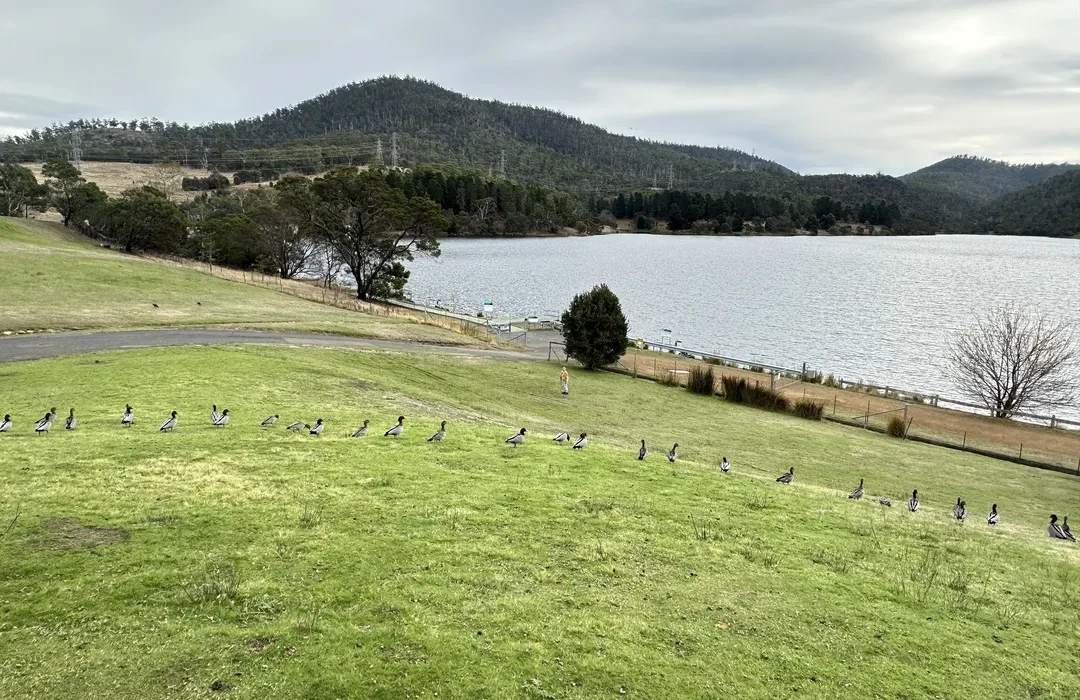 Your Dream Accessible Home Awaits in Beautiful Tasmania! — Home image 13
