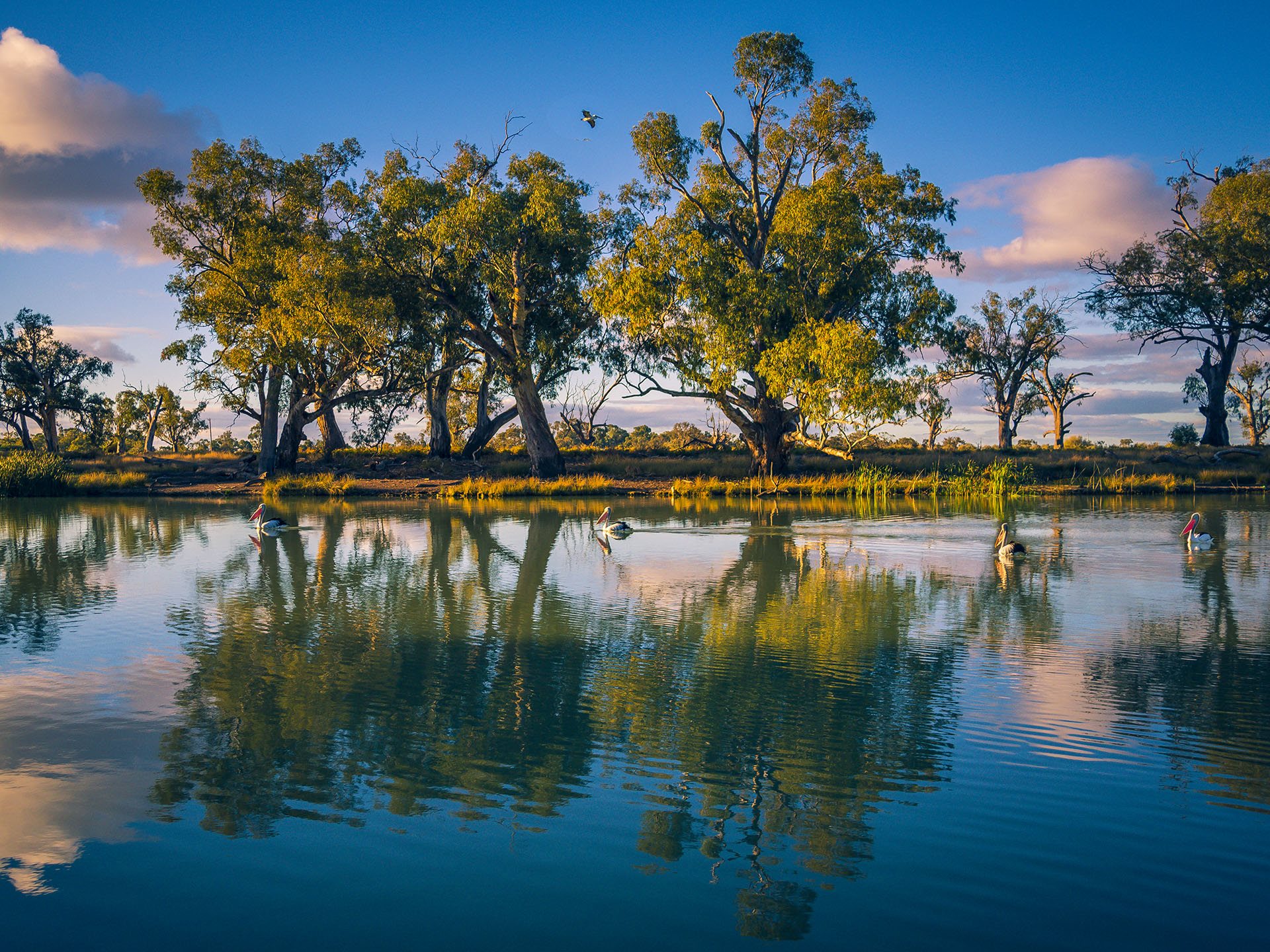 Independent Living by the Murray River — Home image 6