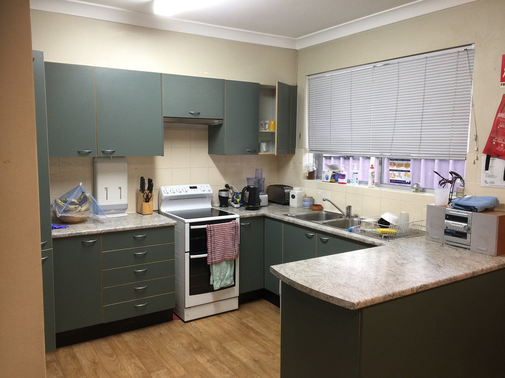 Marsfield – shared, social 4-bedroom home — Home image 4