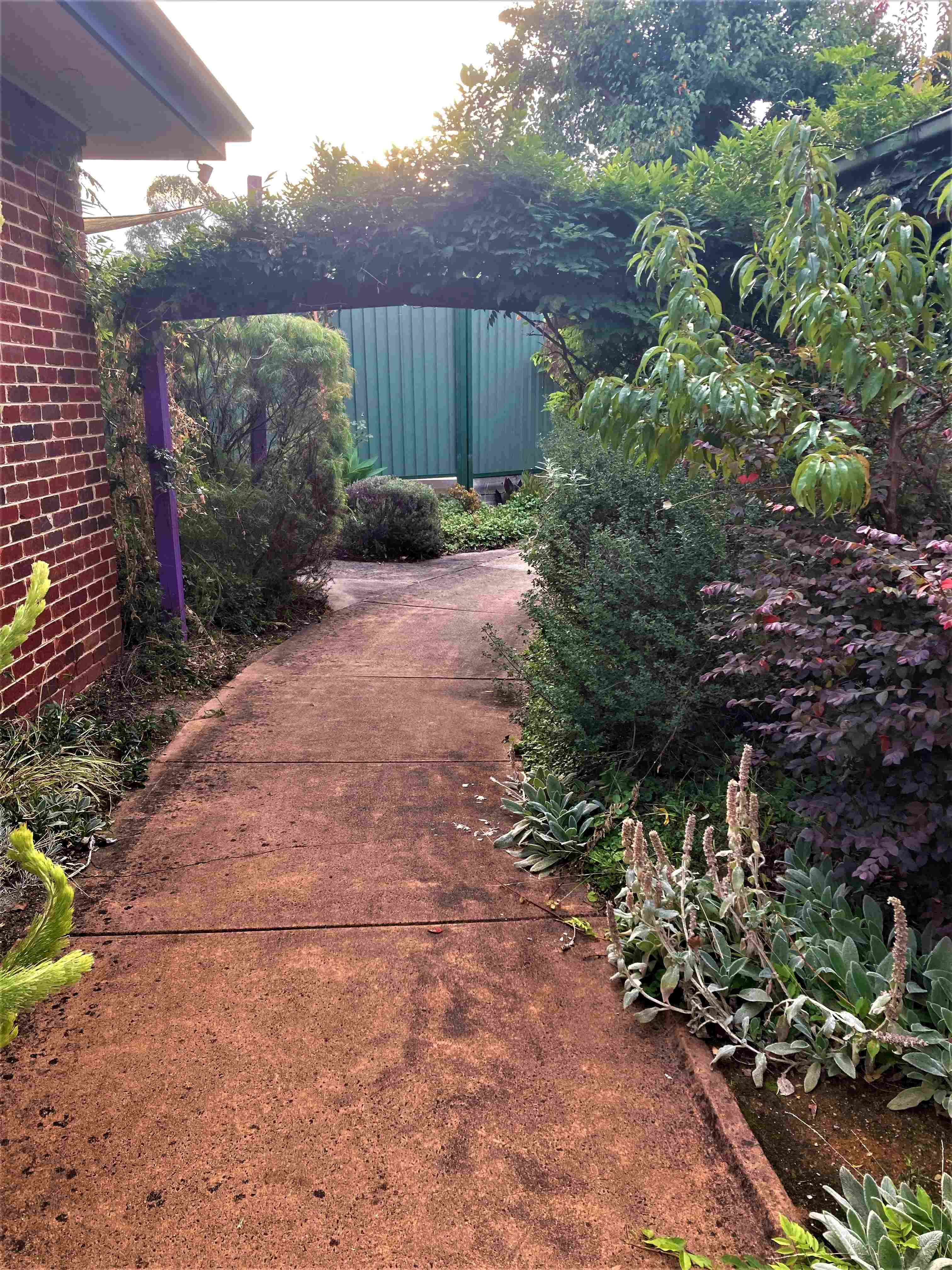 Vacancy in a specialist neurological multidisciplinary care home- Burwood East — Home image 7