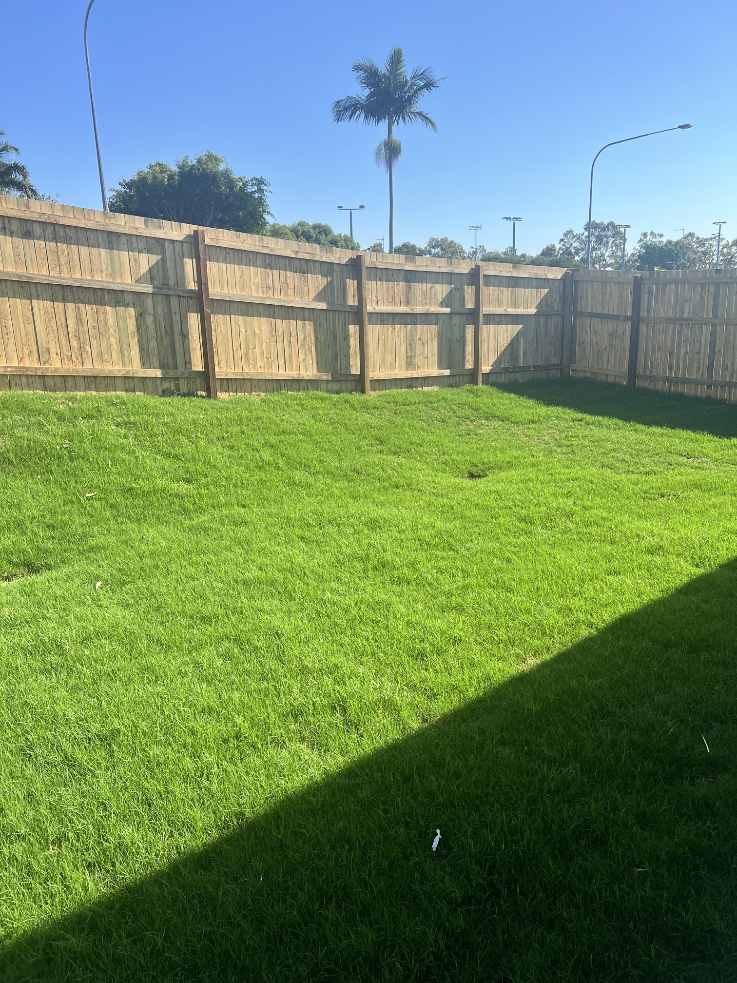 Labrador – Coming Soon 3 bedroom + OOA — Home image 2