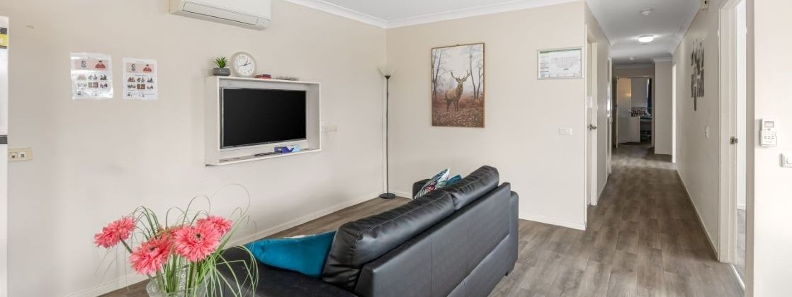 Elderberry - Waratah — Home image 3