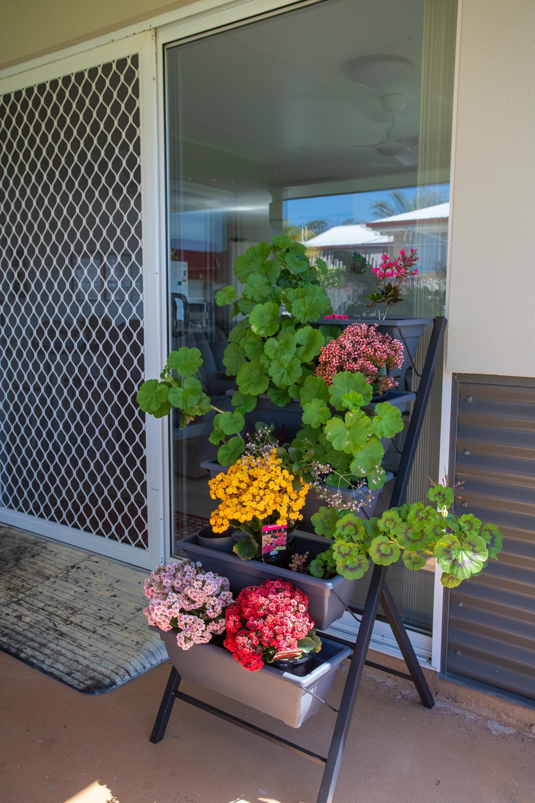 Modern comfort meets serene living in Maryborough — Home image 6