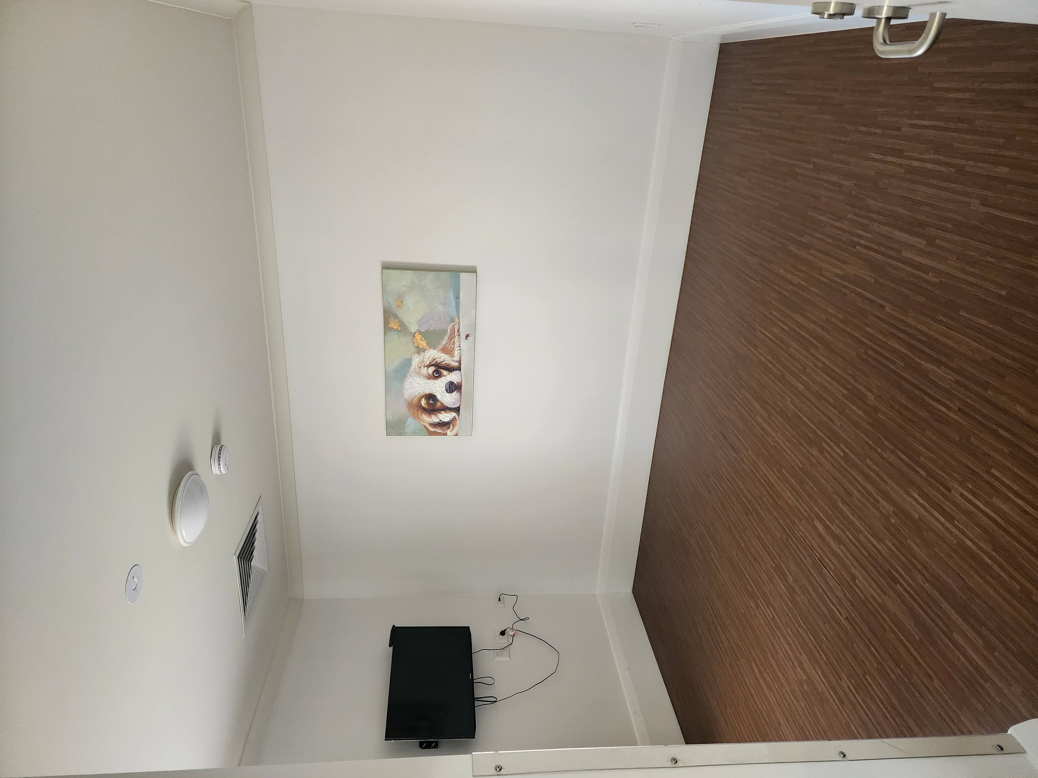Modern Salisbury Downs SDA Dwelling with fully accessible features — Home image 4