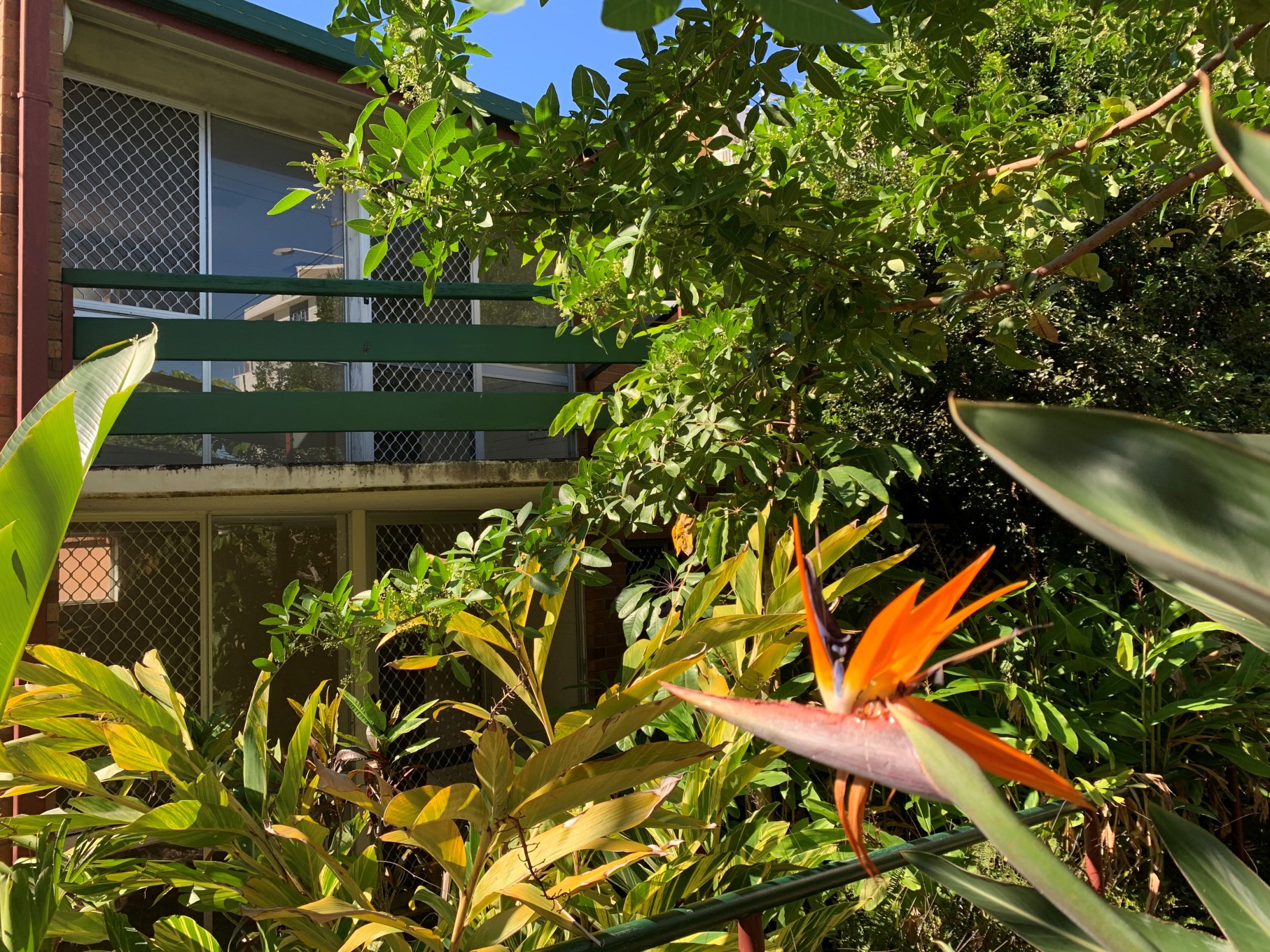 3 Minutes drive to the beach! 1:1 & 1:2 SIL Vacancies available at Moffat Beach — Home image 3
