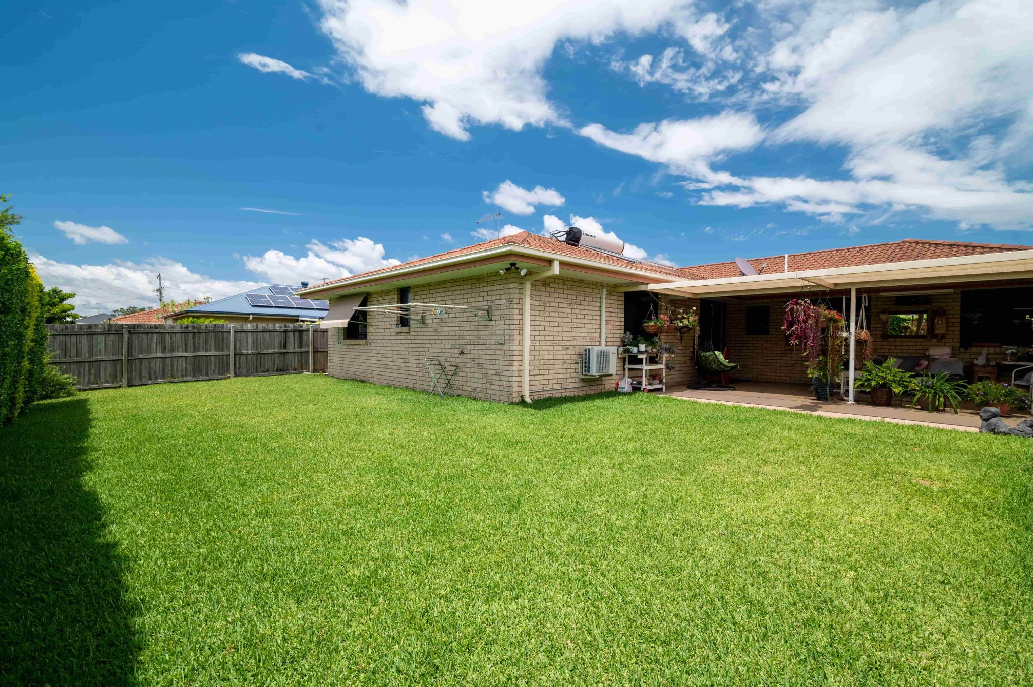 Bellmere Female 1:2 — Home image 3