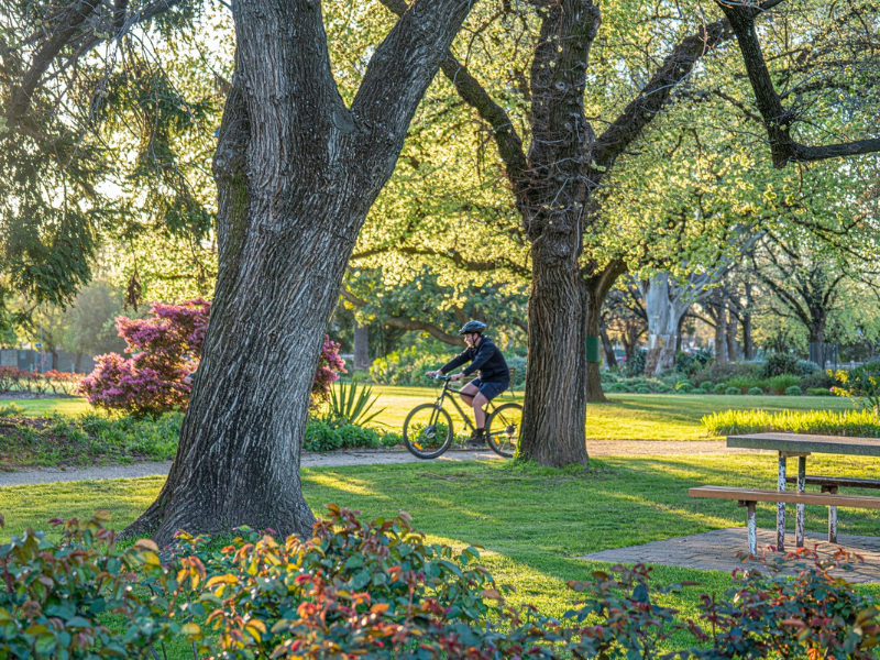 Beautiful Benalla - 1 SIL Vacancy — Home image 6