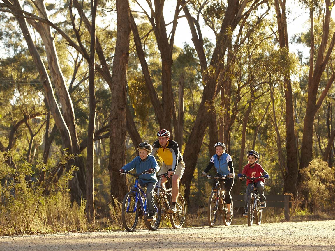 Accessible Comfort Meets Country Charm in Huntly, VIC — Home image 4