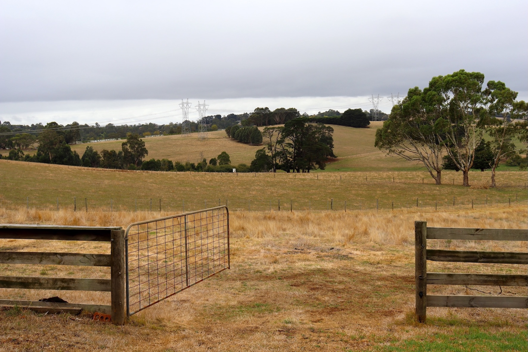 Accessible Country Living at Lazy-Daisy Farm– Your Perfect SIL/MTA/STA Retreat! — Home image 3