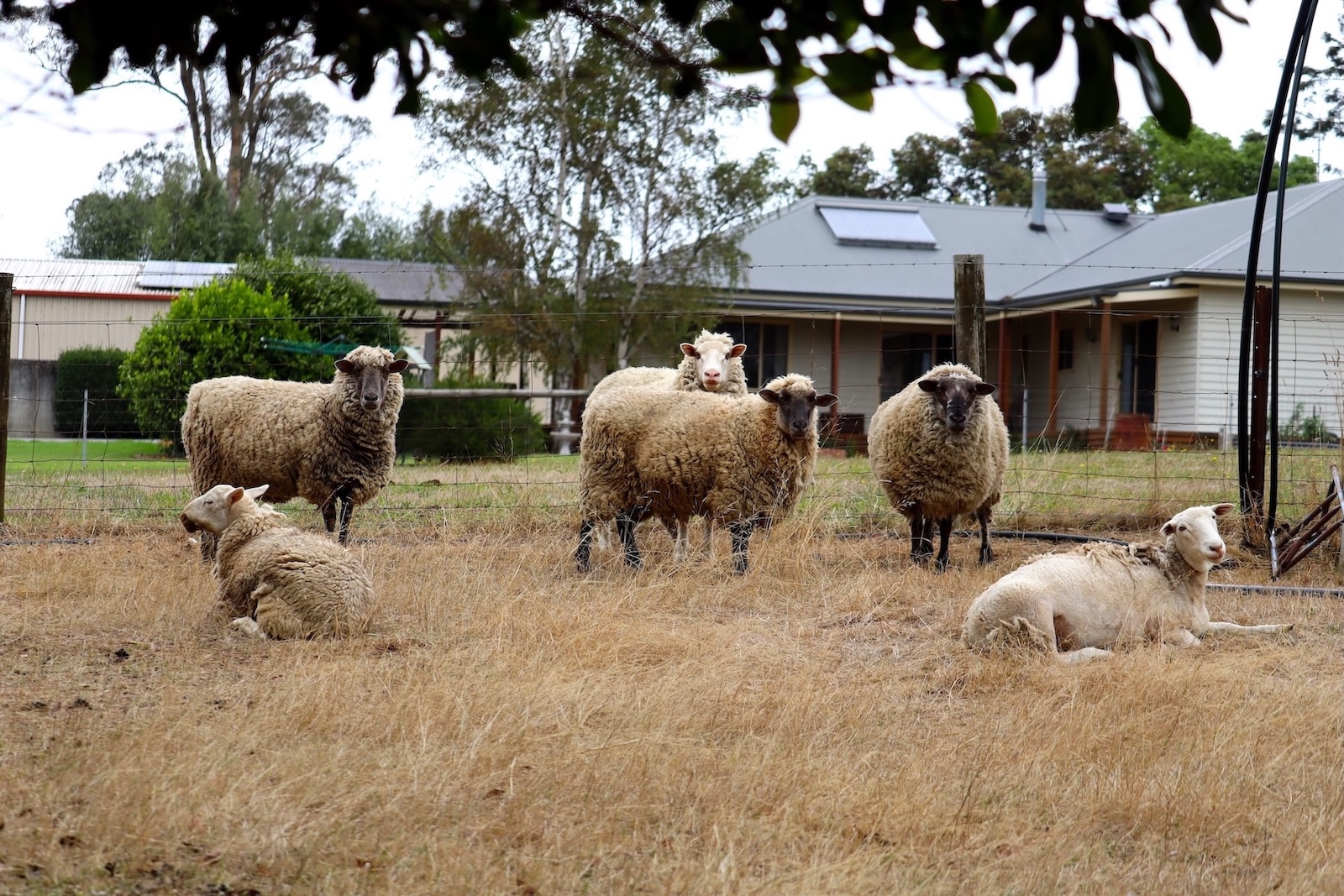 Accessible Country Living at Lazy-Daisy Farm– Your Perfect SIL/MTA/STA Retreat! — Home image 13