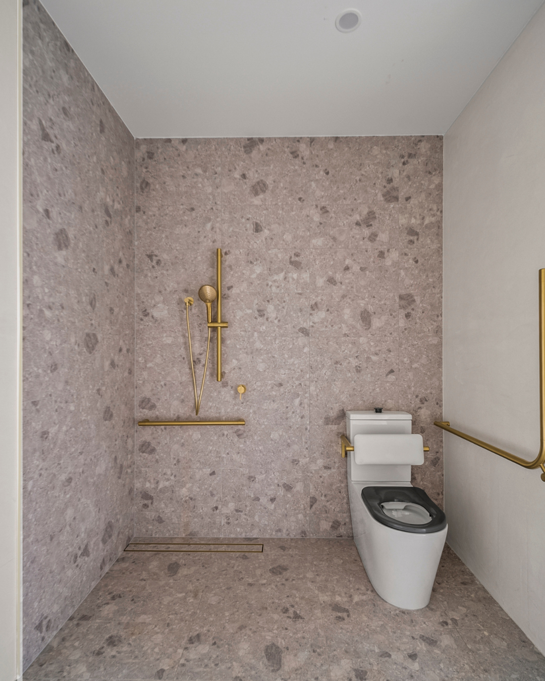 Purpose Built Fully Accessible Home with OOA Accommodation — Home image 2