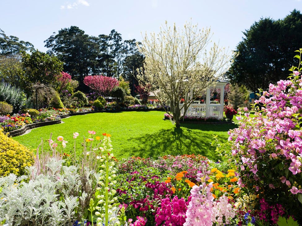 Private, Peaceful and Purpose-Built: Live Well in Harristown — Home image 28