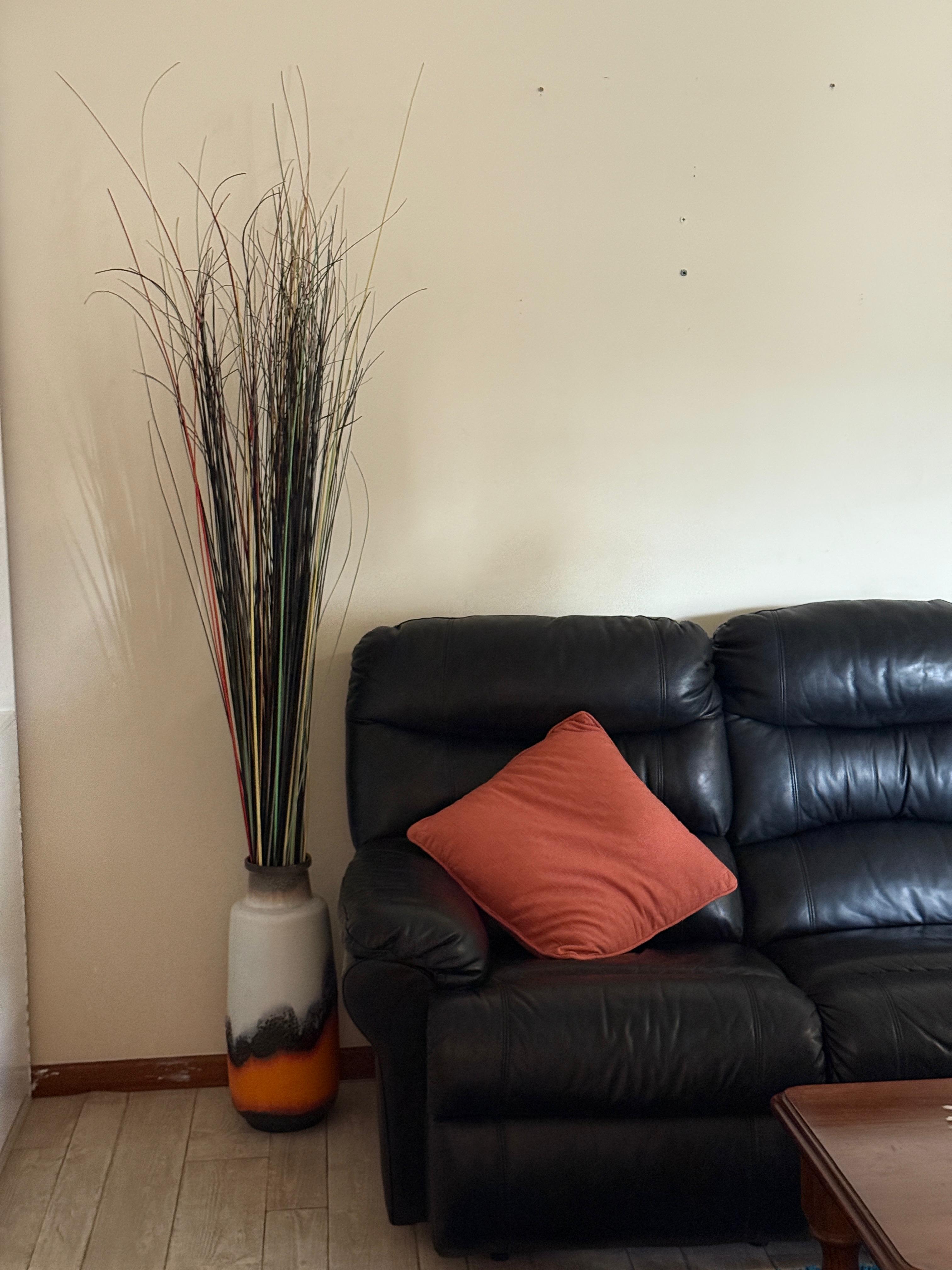 Wandora Cresent — Home image 8