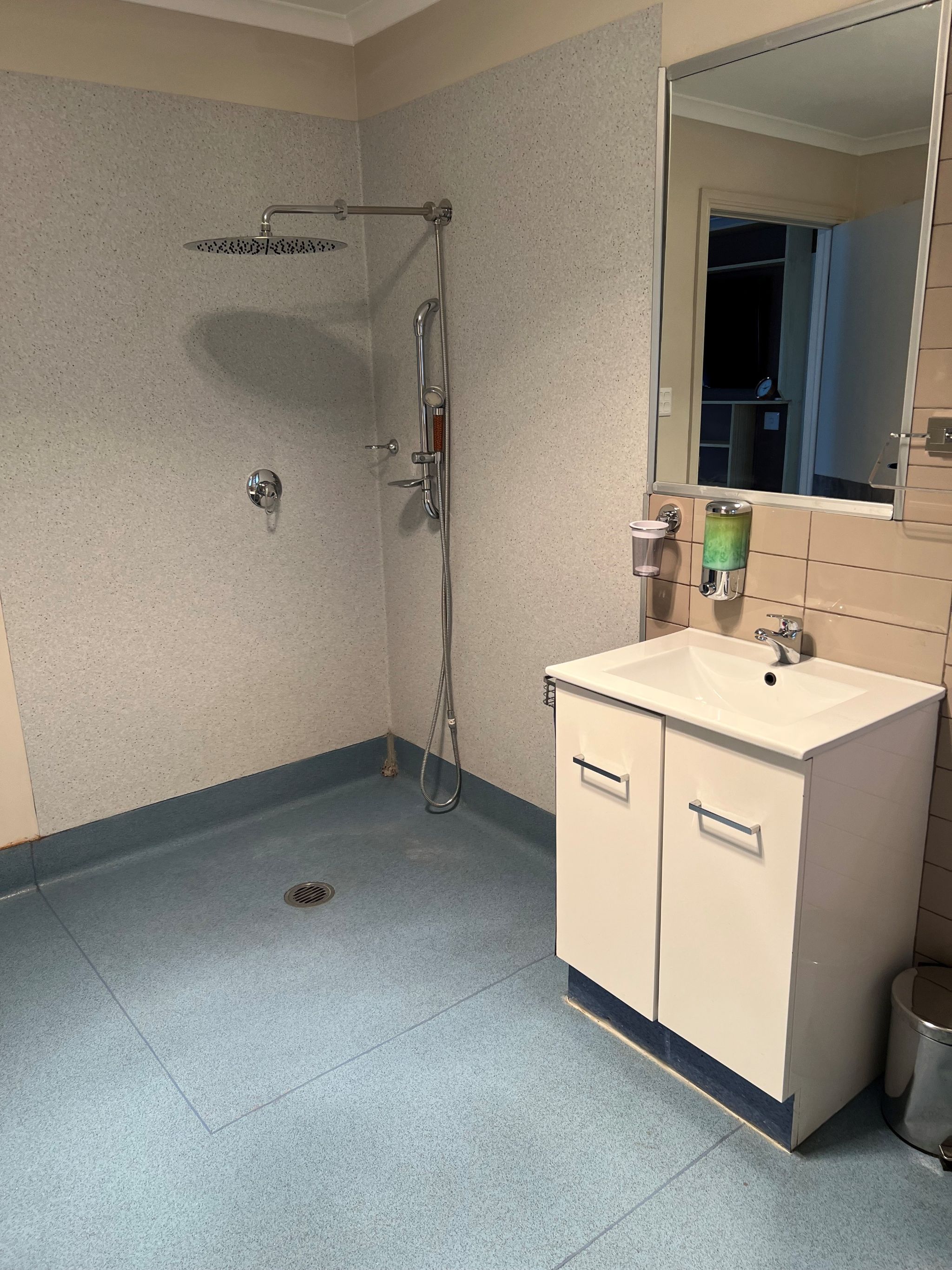 Wheelchair Accessible Unit with Ceiling Hoist available 30/07 for MTA — Home image 6