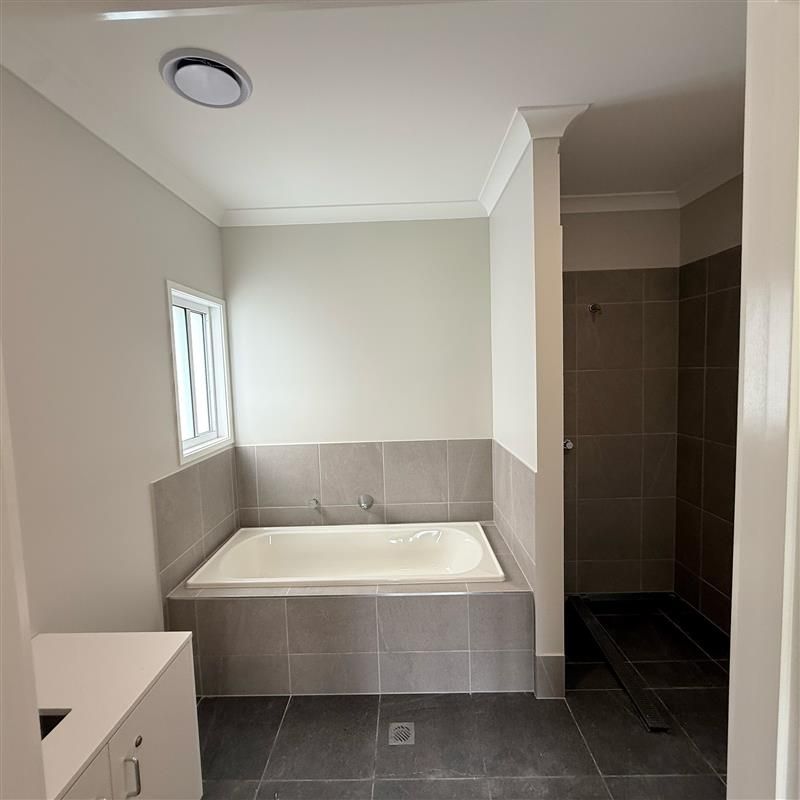 Bald Hills - Improved Liveability or Robust home — Home image 5