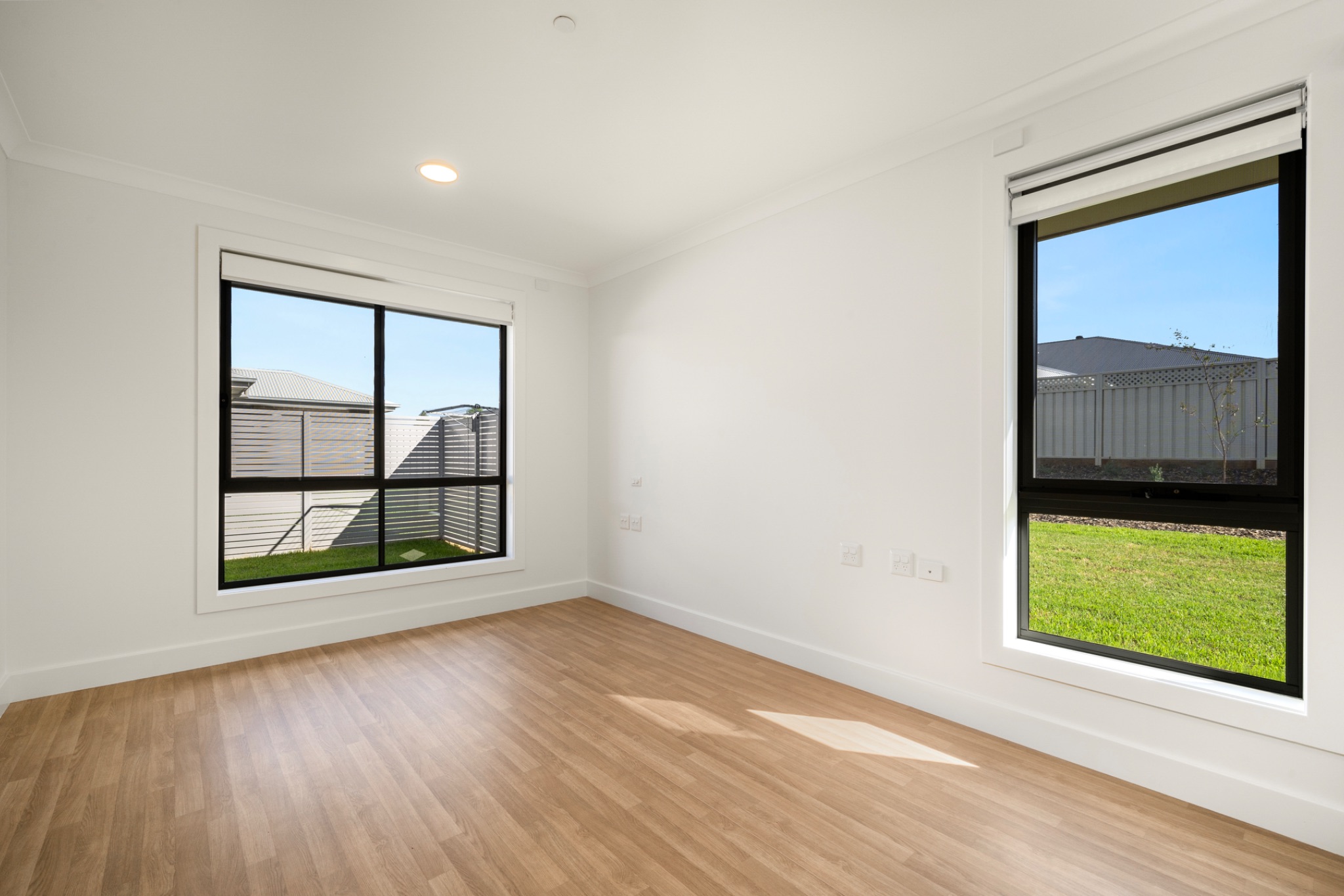 Waratahs Robust — Home image 2