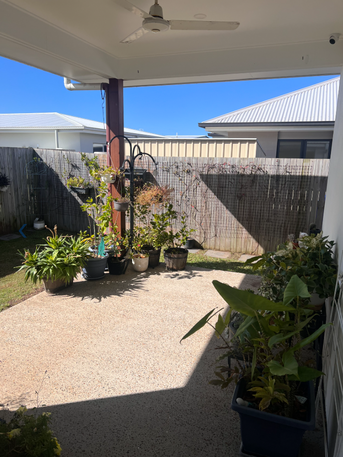 Baringa, Sunshine Coast QLD – High Physical Support (HPS) SIL House | 1 ROOM AVAILABLE! — Home image 3