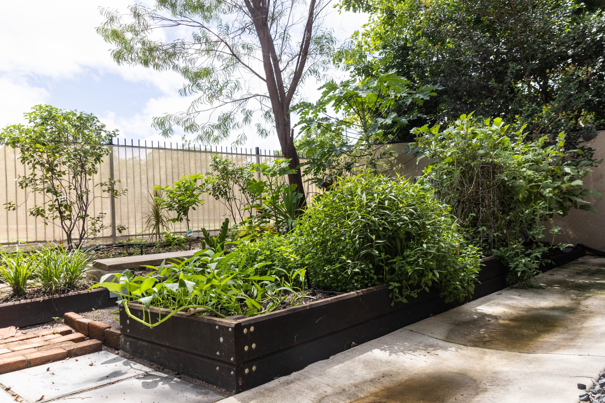 Johnston — Home image 6