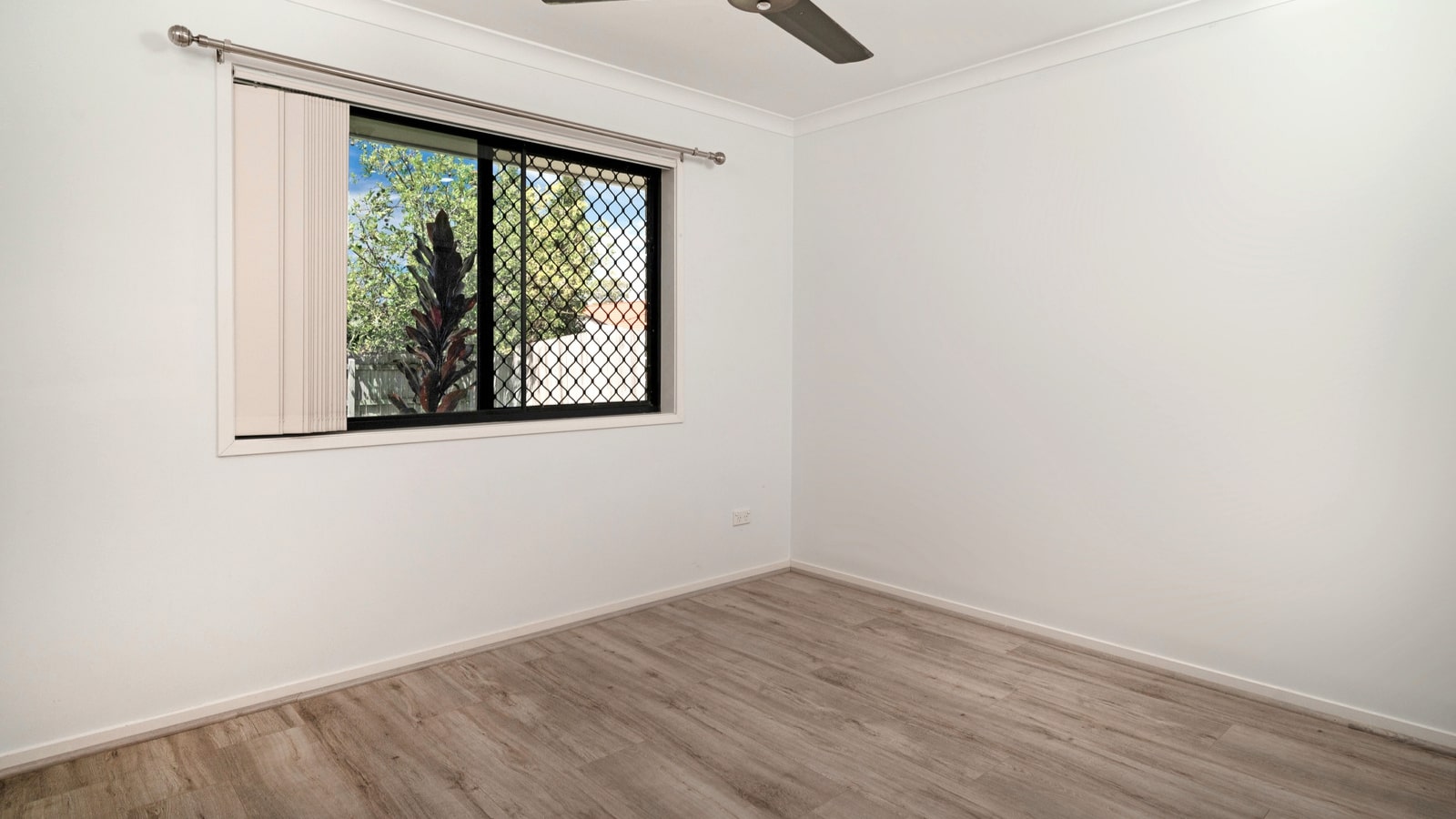 All female 1:3 in Morayfield — Home image 8