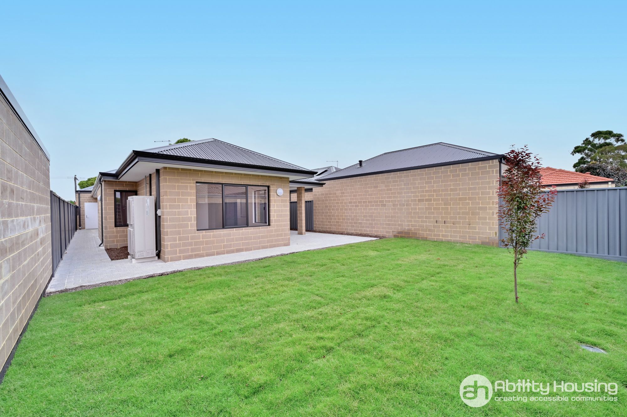 Balga - Robust — Home image 6