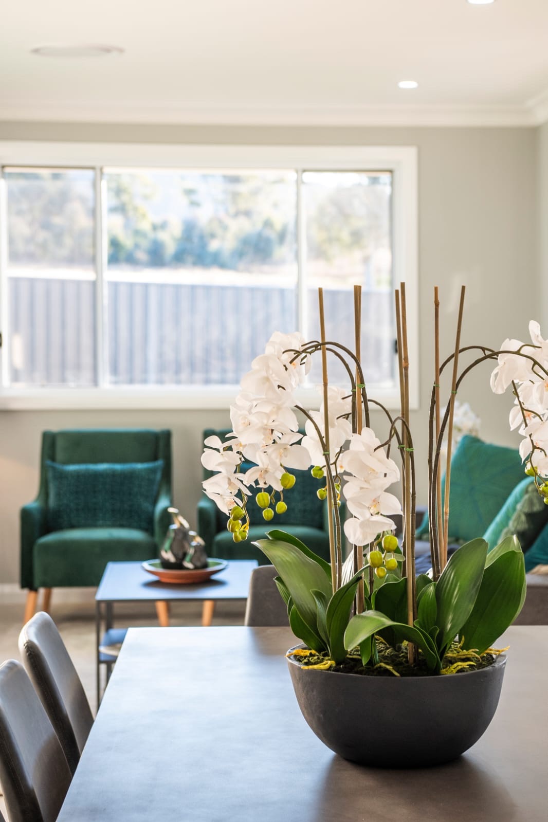 BRAND NEW SIL HOME - ONE VACANCY REMAINING! — Home image 10