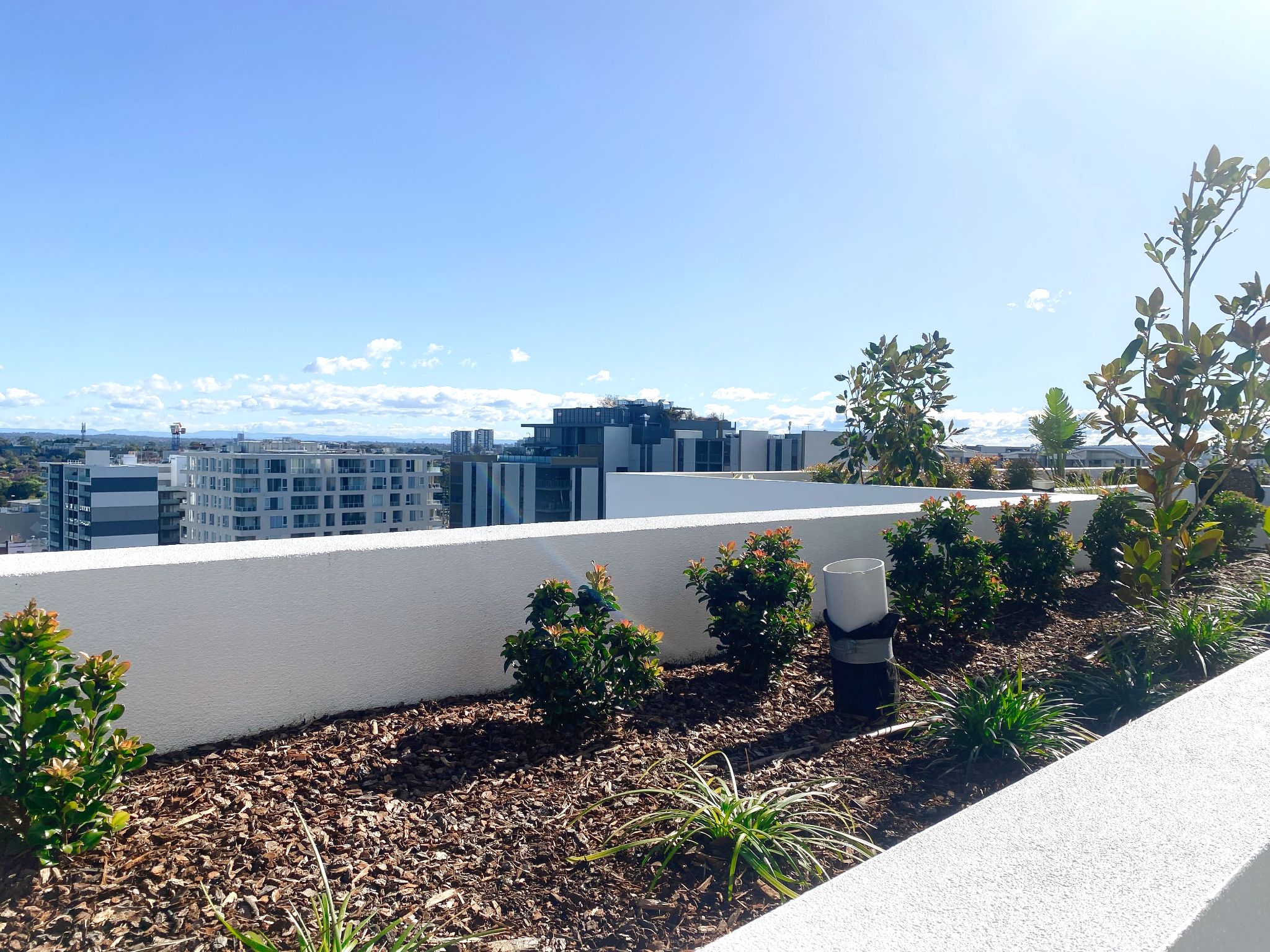 HPS 2-bedroom SDA apartments in the heart of Lidcombe — Home image 15