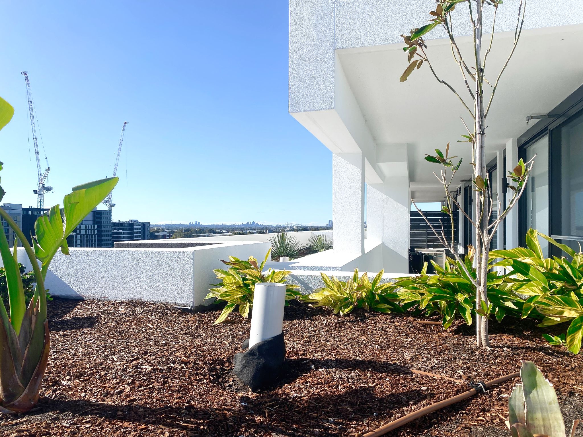 HPS 2-bedroom SDA apartments in the heart of Lidcombe — Home image 18
