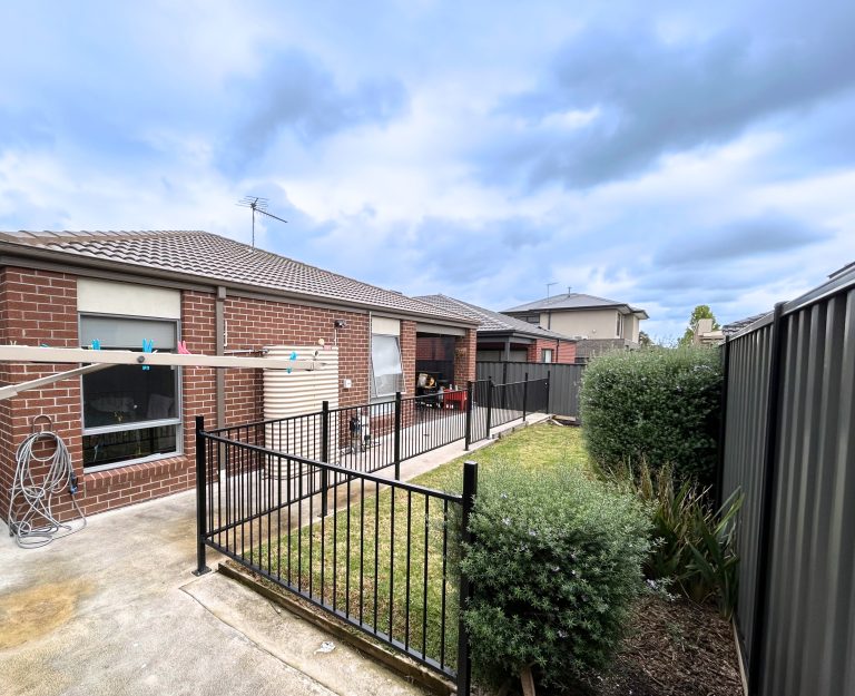 DEBONAIR HPS (Male) - Craigieburn, Victoria — Home image 3
