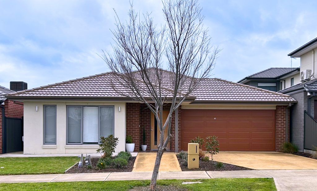 DEBONAIR HPS (Male) - Craigieburn, Victoria — Home image 5