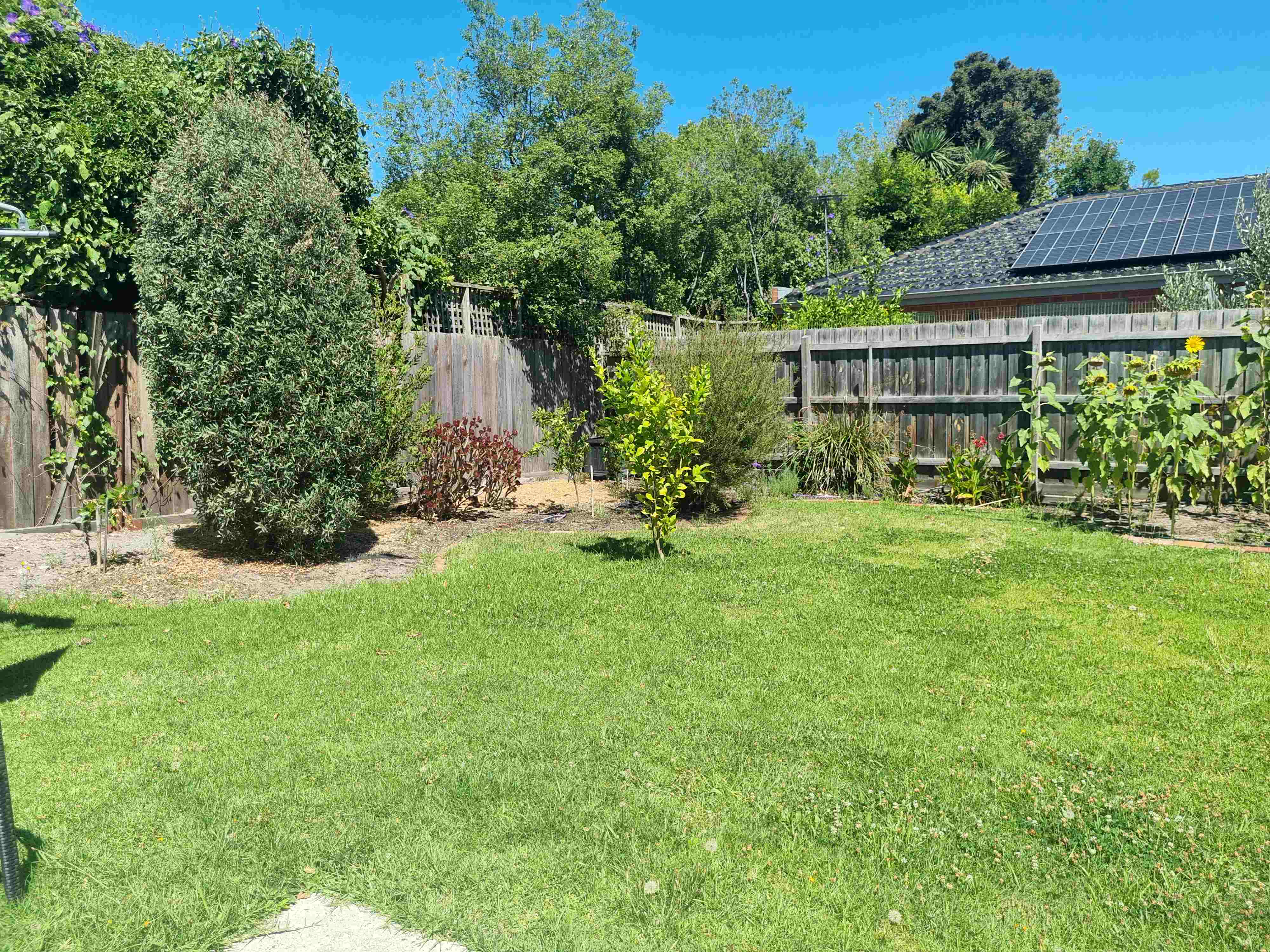SDA/ SIL vacancy in Elsternwick, Melbourne — Home image 2