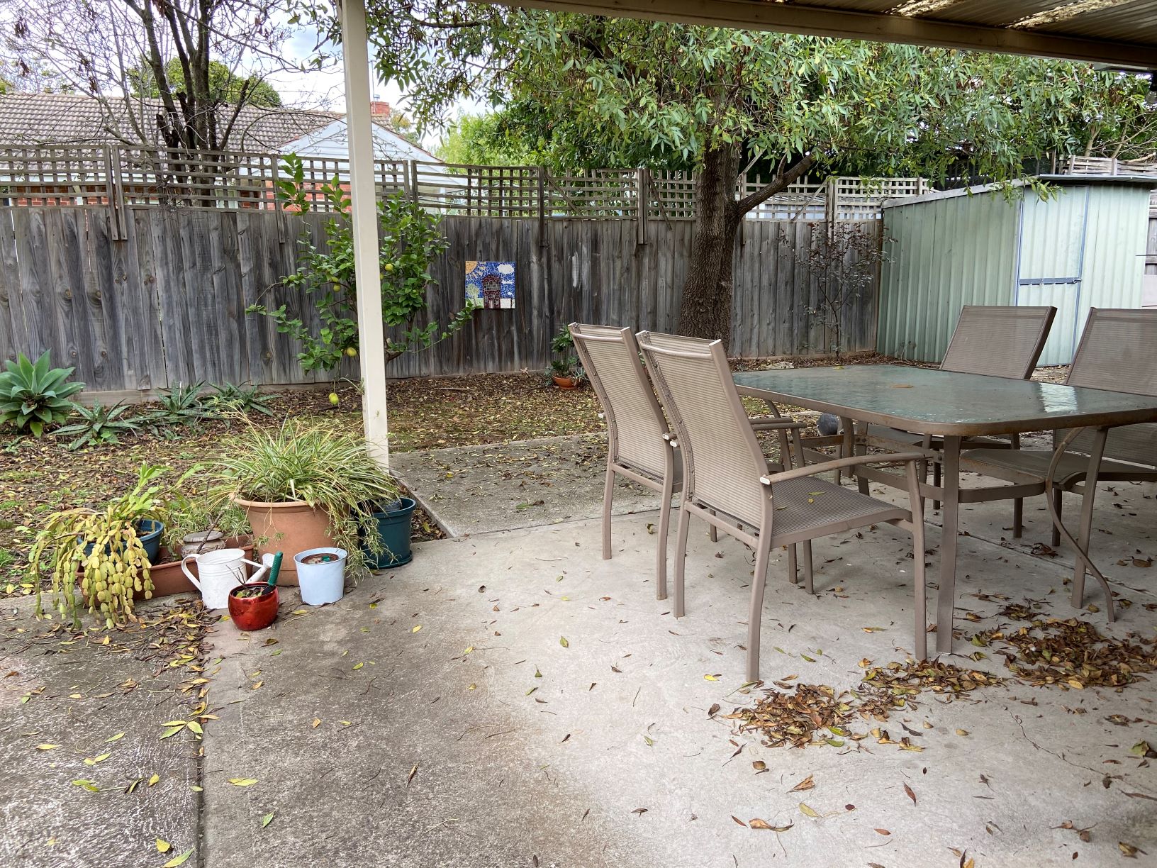 Amazing location and home in Ashburton — Home image 3