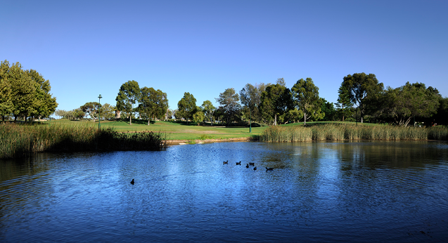 Stirling Apartments — Home image 2