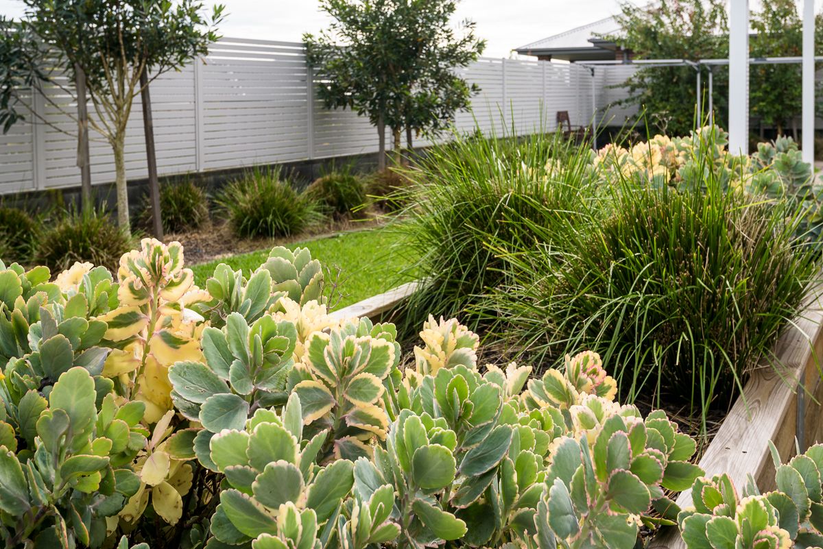 Comfortable and stylish independent living in Fletcher — Home image 41