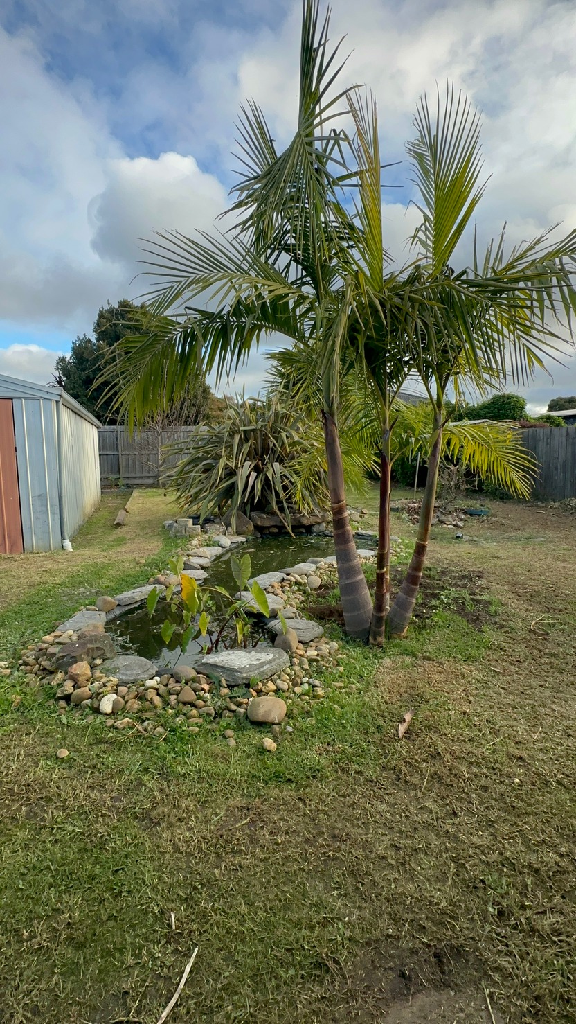 New SIL Home Available in Beautiful Cranbourne 3977! — Home image 8