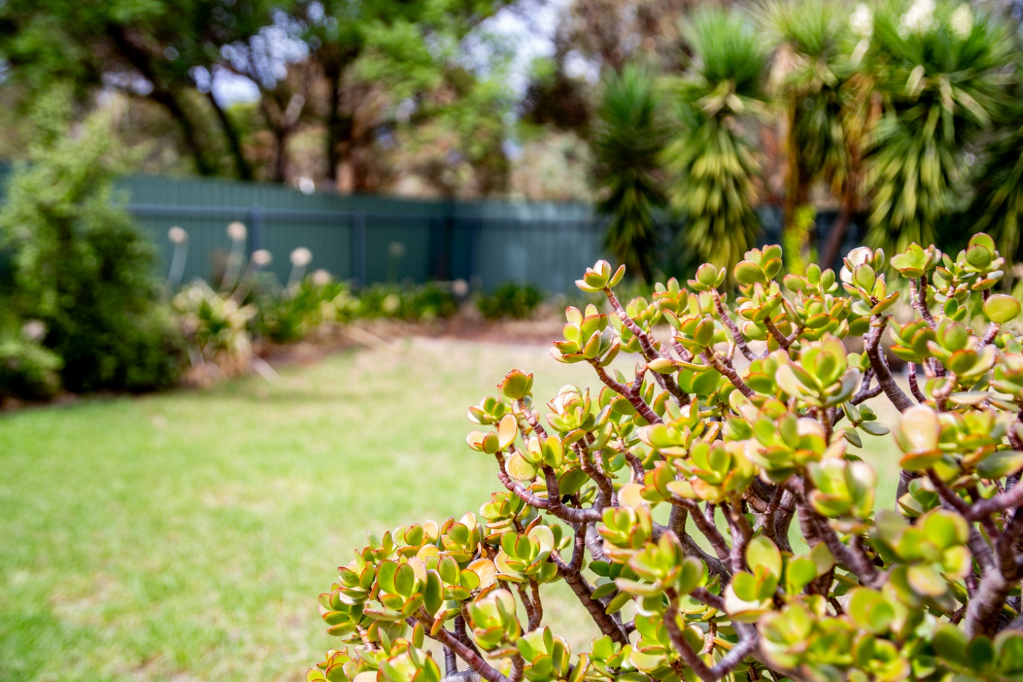 SDA Vacant Room at Holden Hill with Garden - Female Only — Home image 4