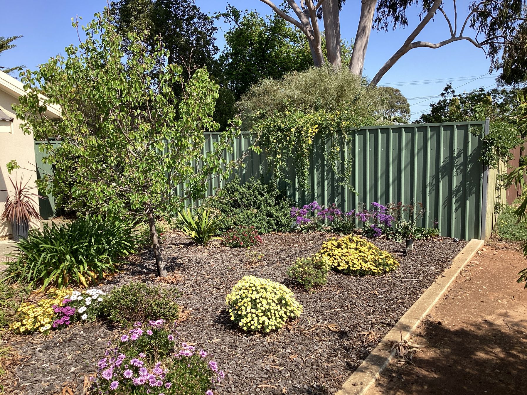 SDA Vacant Room at Holden Hill with Garden - Female Only — Home image 28