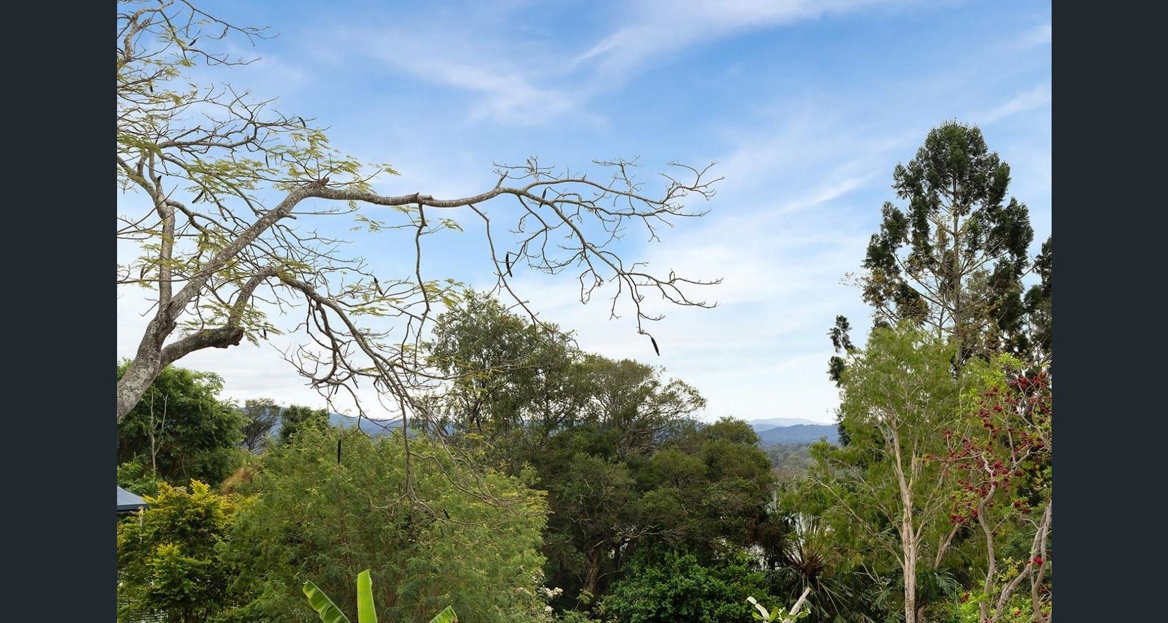 SSC Goodna — Home image 4