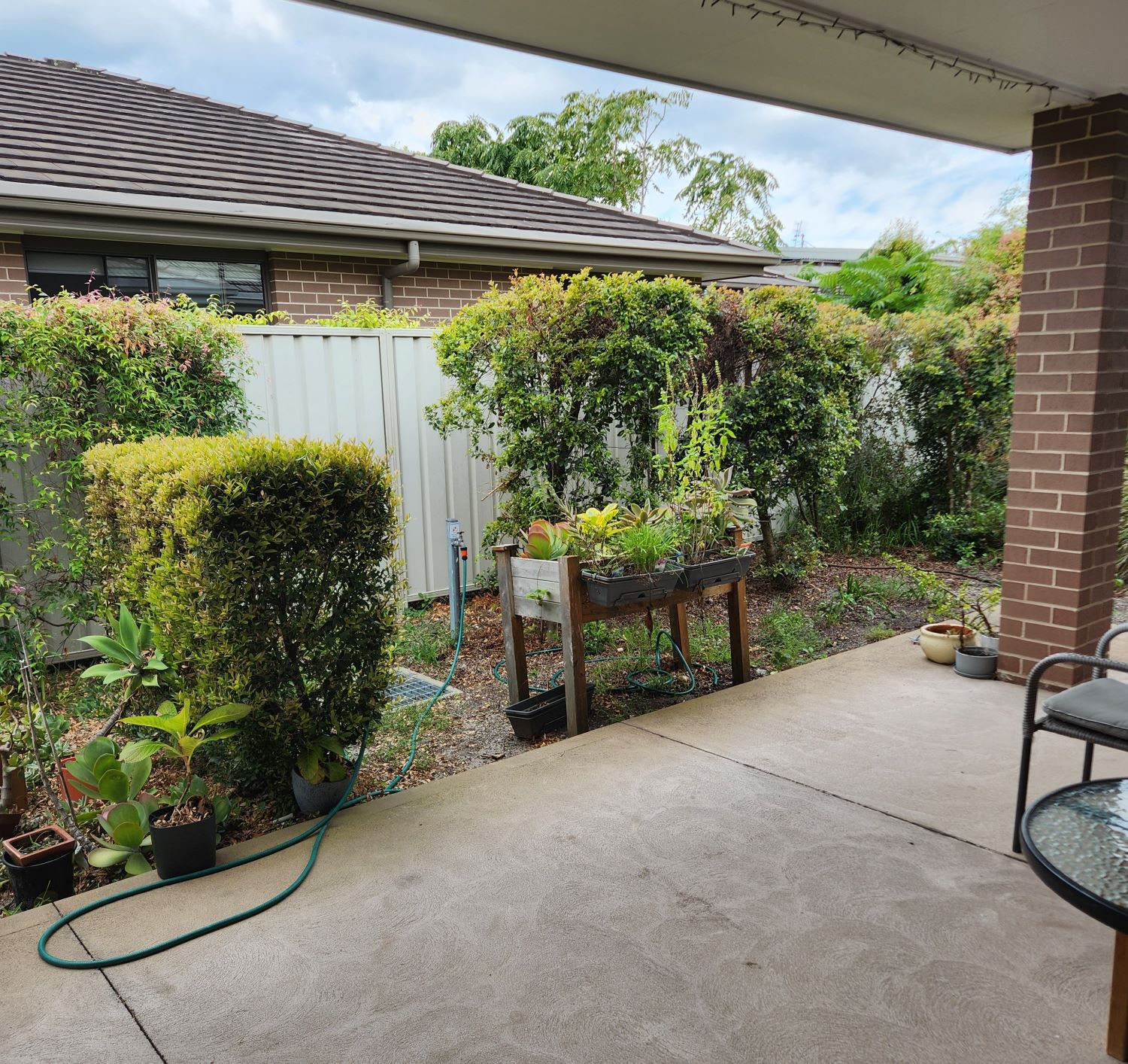 Mattgrass - Woy Woy NSW — Home image 5