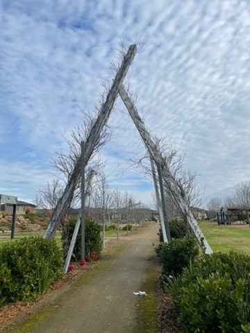 CURZON - HPS/BARIATRIC - Clyde North, Vic — Home image 4