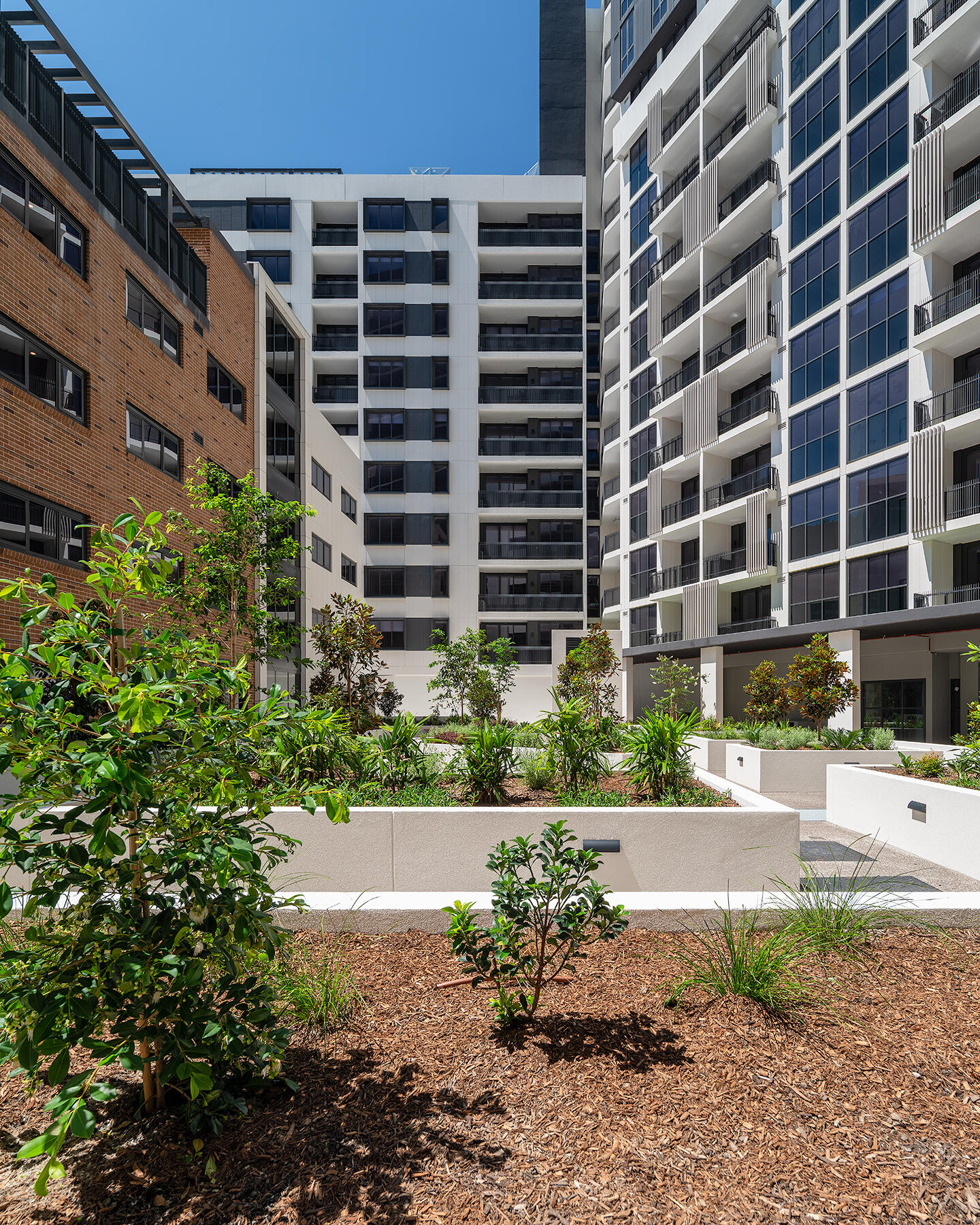Merrylands: brand new SDA apartments — Home image 4