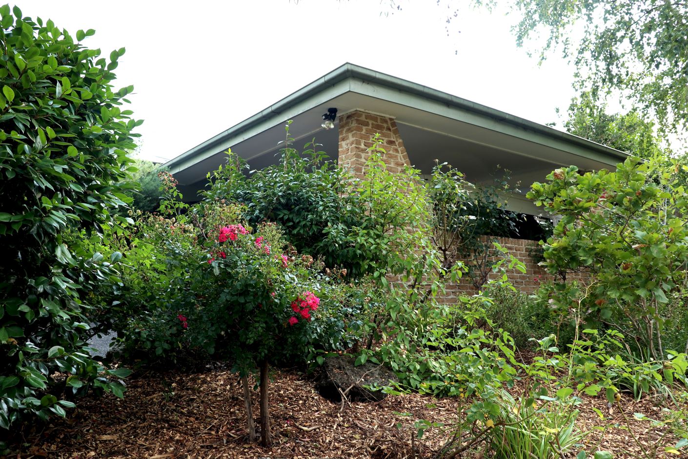Shared supported living in beautiful Lilydale home — Home image 7