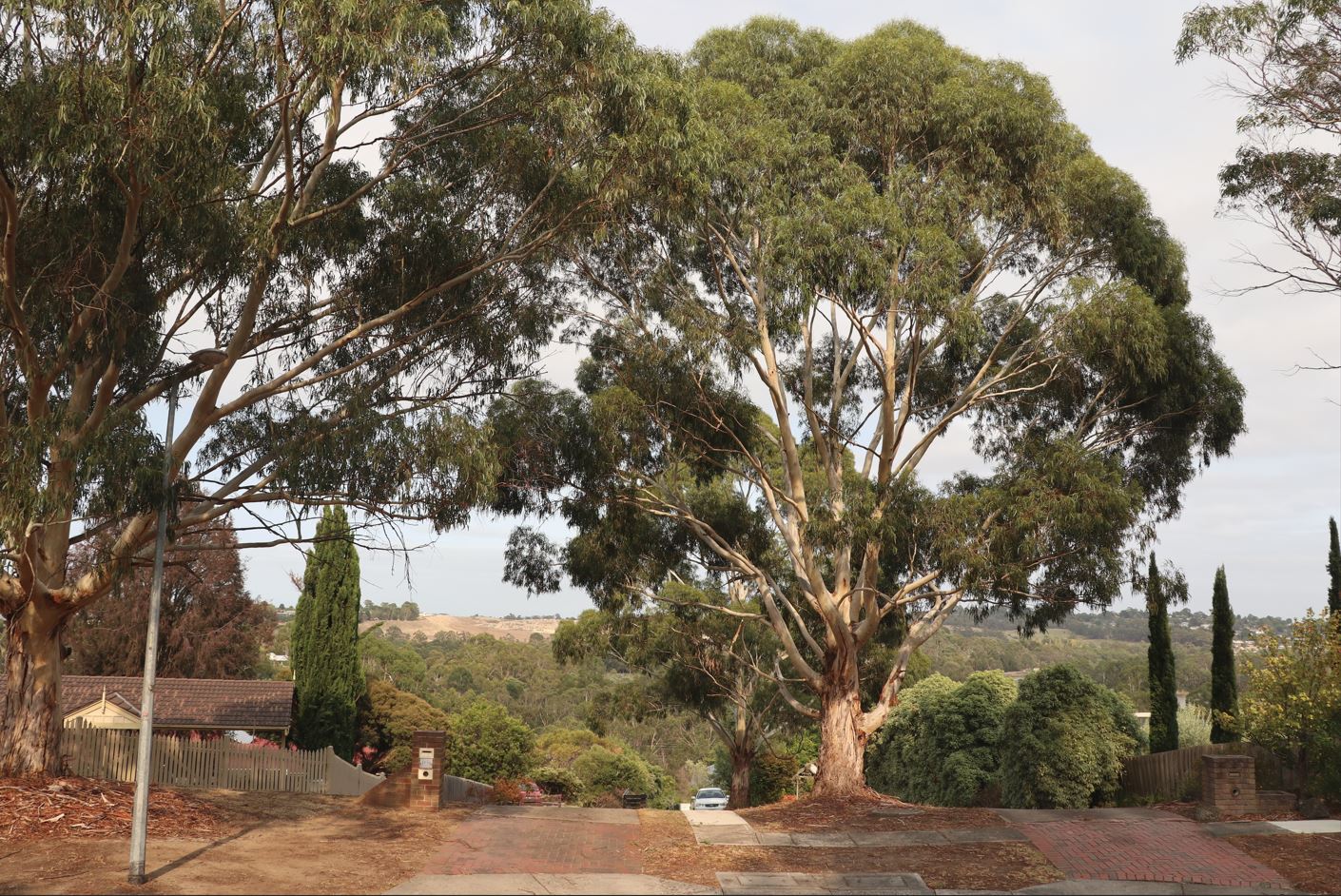Shared supported living in beautiful Lilydale home — Home image 2