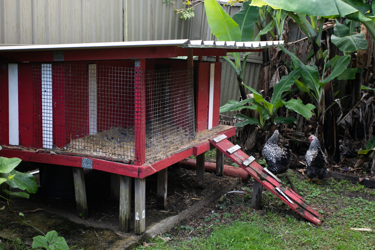 Spacious self-contained units in Broadmeadow, Newcastle — Home image 19