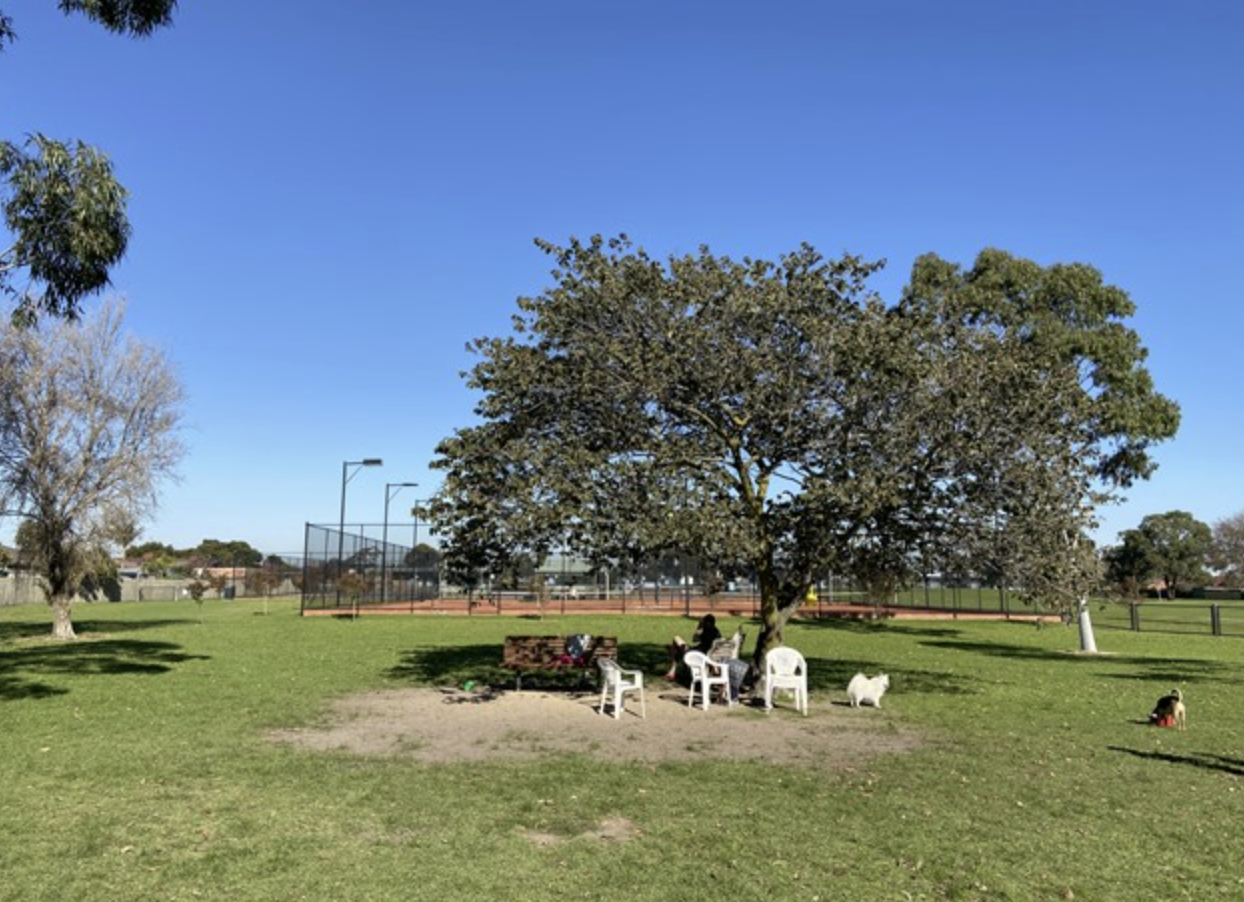 2+OOA HPS SDA in Noble Park – Prime Multi-Centre Location — Home image 5