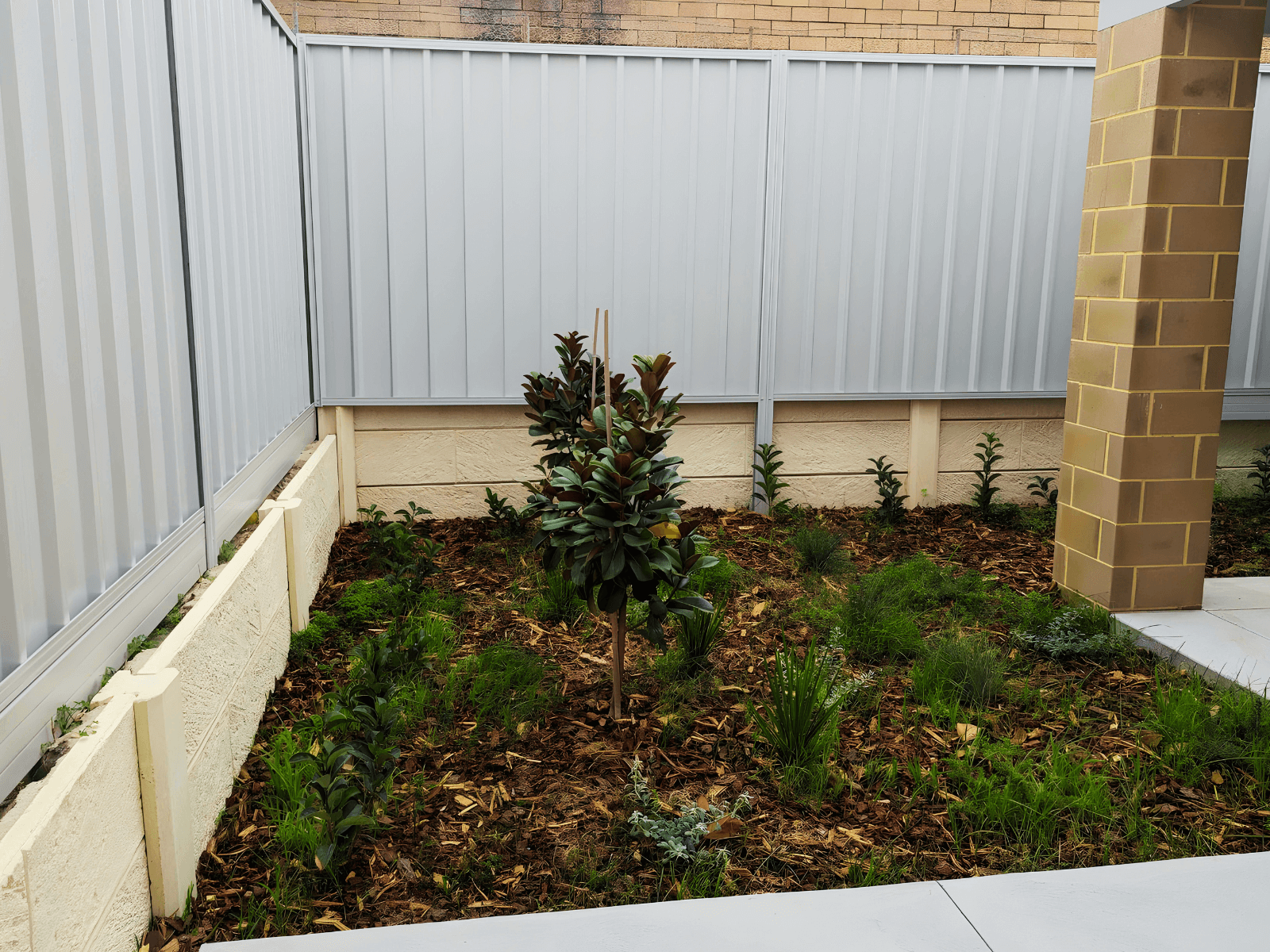 New and Modern SDA Homes in Thornlie - FA & HPS — Home image 10