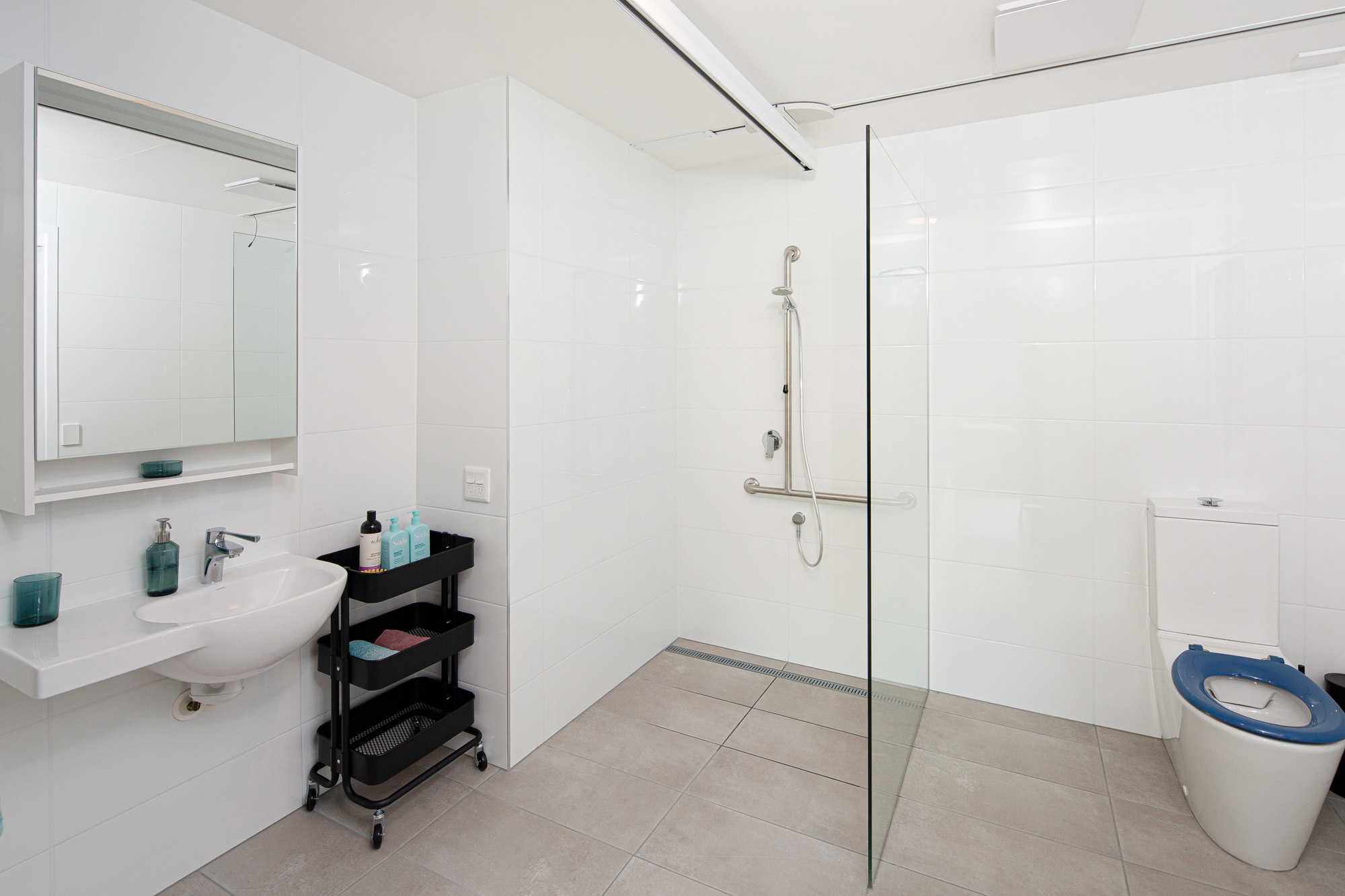 One-Resident High Physical Support Apartment — Home image 3