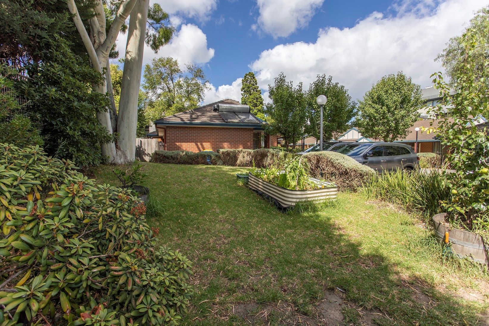 One vacancy in a spacious, Fully Accessible home in Hawthorn — Home image 5
