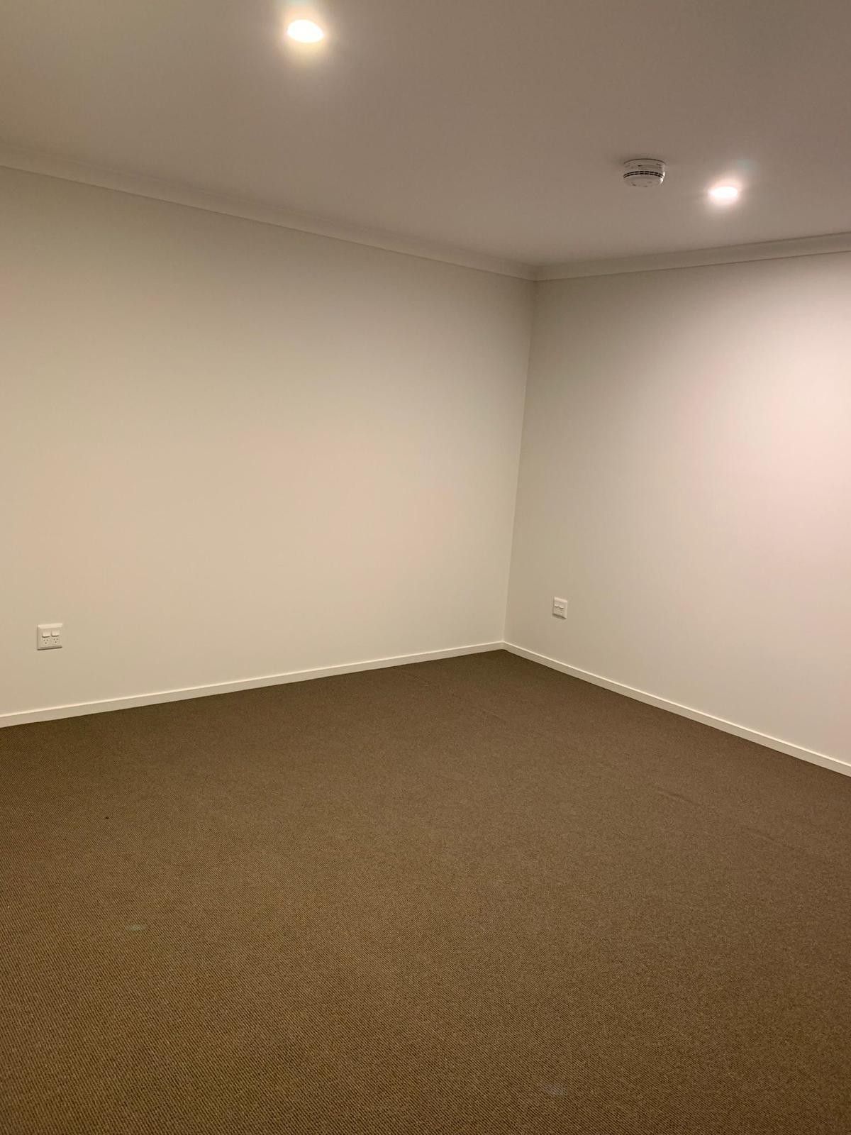 Brand New SDA Clyde — Home image 8